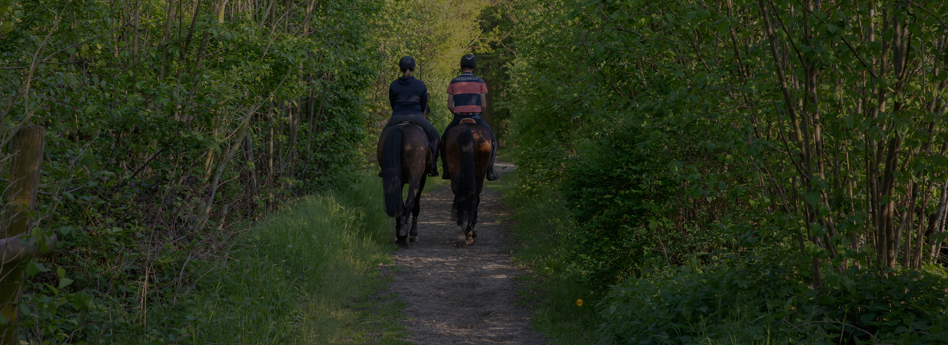 Slide #1 copy copy Slide background